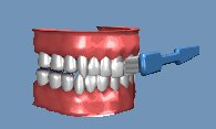 toothbrush1_brushingm_a_lc.gif