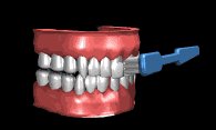toothbrush1_brushingm_a_lb.gif
