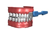 toothbrush1_brushingm_a_hr.jpg