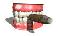 teethcigar_smoking1_mw.gif
