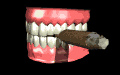 teethcigar_smoking1_mb.gif