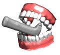 teeth2_drilling_mw.gif