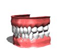 teeth1_chattering_mw.gif
