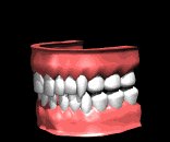 teeth1_chattering_lb.gif