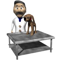 vet_pettingdoggy_hr.jpg