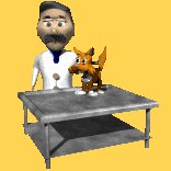 vet_pettingcat_lc.gif