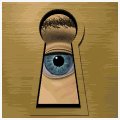 keyhole_peek_mb.gif