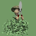 trimming_bushes_mc.gif