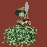 trimming_bushes_lc.gif
