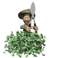 trimming_bushes_hr.jpg