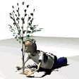 gardener_plant_tree_sw.gif