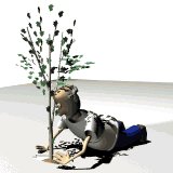 gardener_plant_tree_mw.gif