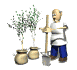 gardener_plant_saplings_sw.gif