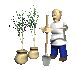 gardener_plant_saplings_sc.gif