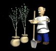 gardener_plant_saplings_mb.gif