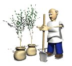 gardener_plant_saplings_lw.gif