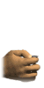 coin_toss_mw.gif