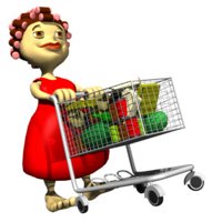 rosie_shopping_hr.jpg