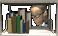 librarian_shelf_view__a_tc.gif