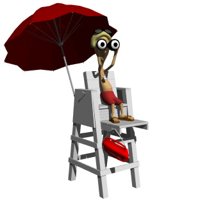 lifeguard_with_binocu_a_hr.jpg