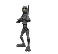 ninja_spin_kick_hr.jpg