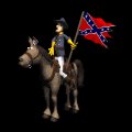 confederate_standard__a_mc.gif