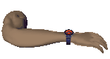 arm3_showingwatch_lc.gif
