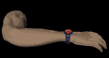 arm3_showingwatch_lb.gif