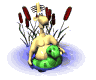 swimguy_pond_mw.gif