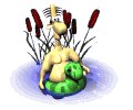 swimguy_pond_lw.gif