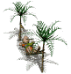 guyinhammock_palmtree_a_sw.gif