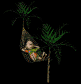 guyinhammock_palmtree_a_sb.gif