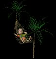guyinhammock_palmtree_a_mb.gif