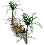 guyinhammock_palmtree_a_lw.gif