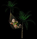 guyinhammock_palmtree_a_lb.gif