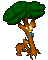 camper_up_tree_bear_tc.gif