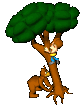 camper_up_tree_bear_sc.gif