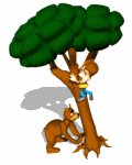 camper_up_tree_bear_mw.gif