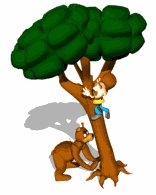 camper_up_tree_bear_lw.gif