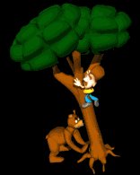 camper_up_tree_bear_lb.gif