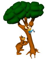 camper_up_tree_bear_hr.jpg