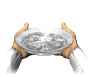 host_dish_hands_sw.gif