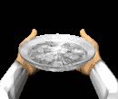 host_dish_hands_mc.gif