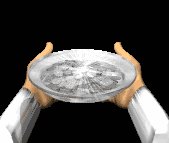 host_dish_hands_lc.gif