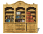 bookshelf_book_extract_sw.gif
