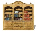 bookshelf_book_extract_mw.gif