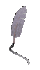 feather_quill_sc.gif