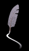 feather_quill_mb.gif