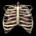 lungs_with_ribs_breat_a_tb.gif