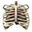 lungs_with_ribs_breat_a_sw.gif